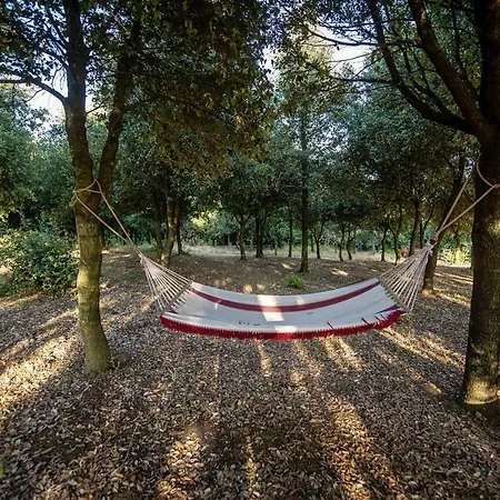 Holiday Country House Sulla Via Degli Etruschi San Feliciano Peg011003 Cyc Apartment